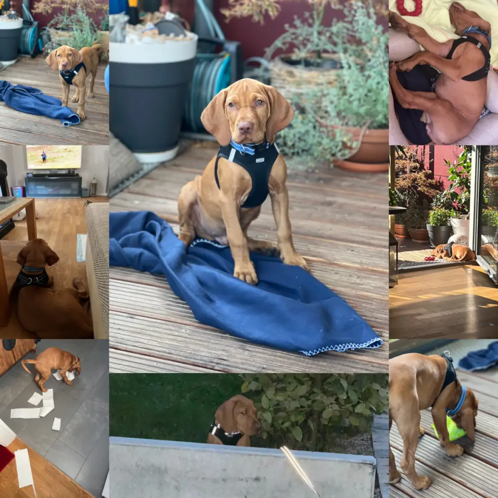 CRM-Beratung - MP Sales Consulting GmbH